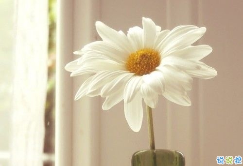 簡單點(diǎn)的說說句子心情短語 沒有人是好脾氣只是你比較重要1