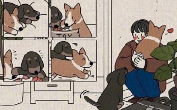 關于一輩子的愛情甜蜜說說配圖 我會讓我的愛陪你慢慢的老去6