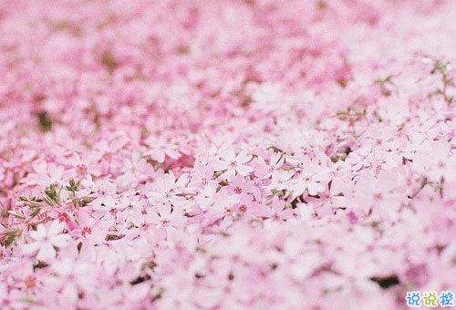 最新愛情說說句句刺人心帶圖片 微信愛情說說全都是心里話7