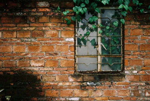 關(guān)于愛情的簡單有哲理的句子帶圖片 不要貪心找到那個(gè)對(duì)的人就第一時(shí)間決定吧7