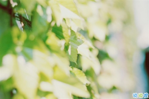 2019朋友圈個(gè)性說說必點(diǎn)贊的 非常吸引人的微信說說獨(dú)一無二11