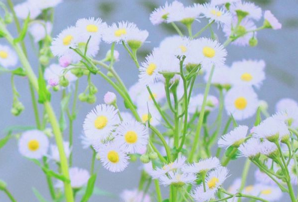 電影電視劇中會出現(xiàn)的唯美經(jīng)典的韓文說說14