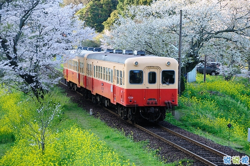 很特別的早安說說大全帶圖片 朋友圈早安心語獨(dú)一無二吸引人10
