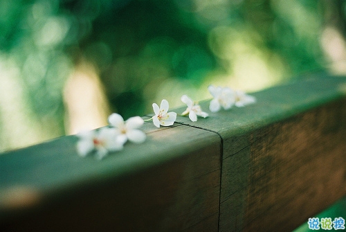 有點小傷感的說說唯美文藝帶圖片 今天心情不美好的說說很簡單9