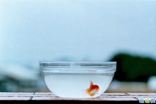 12月你好唯美說(shuō)說(shuō)簡(jiǎn)短一點(diǎn)的帶圖片 2018十二月你好說(shuō)說(shuō)最新發(fā)朋友圈的3