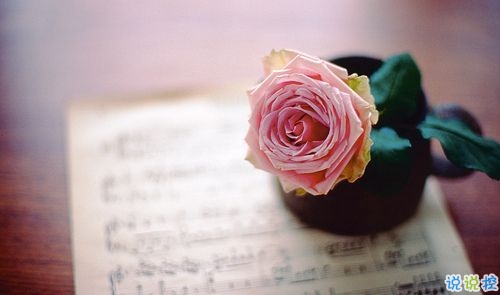 2019白色情人節(jié)表白的話合集 314白色情人節(jié)最動聽真實(shí)表白句子1