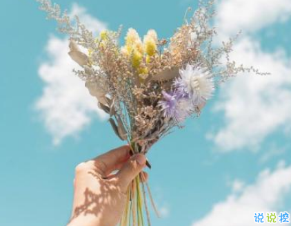 表白小情話(huà)最用心也是最走心的 成功率99%的告白情話(huà)合集2