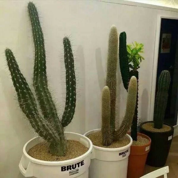 現(xiàn)實人生成長的哲理精辟個性說說帶圖片 希望一切剛剛好過了黎明就是破曉11