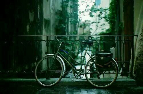 關(guān)于愛情的簡單有哲理的句子帶圖片 不要貪心找到那個(gè)對(duì)的人就第一時(shí)間決定吧13