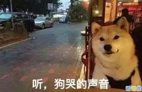 2018七夕即將來臨的說說心情配圖 七夕快到了的說說圖片4