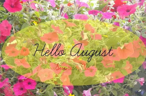 再見(jiàn)七月八月你好圖片說(shuō)說(shuō)2018最新版 唯美好聽(tīng)的八月你好說(shuō)說(shuō)配圖1