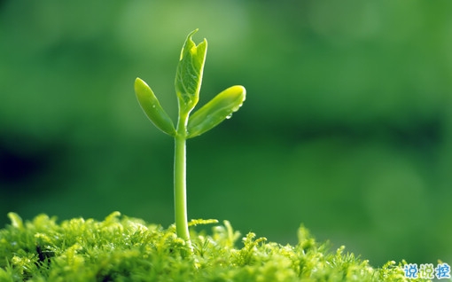 很特別的早安說說大全帶圖片 朋友圈早安心語獨(dú)一無二吸引人7