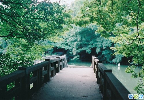 學(xué)會(huì)堅(jiān)強(qiáng)堅(jiān)持自己的夢想的個(gè)性說說帶圖片 要堅(jiān)強(qiáng)走下去的說說發(fā)朋友圈14