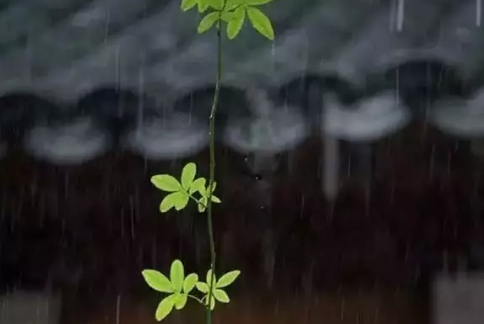 再見(jiàn)七月八月你好圖片說(shuō)說(shuō)2018最新版 唯美好聽(tīng)的八月你好說(shuō)說(shuō)配圖2