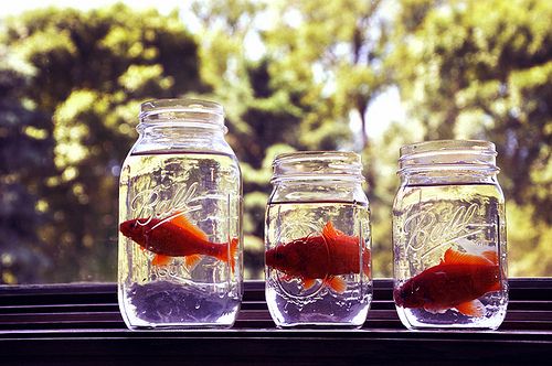 關于人生和愛情的唯美小清新句子帶圖片 我路過萬家燈火而你才是我的歸途5