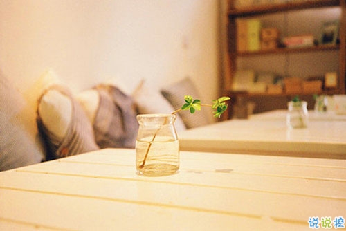 關(guān)于生活的文字控唯美英文說說帶圖片 很經(jīng)典現(xiàn)實的英文說說大全14