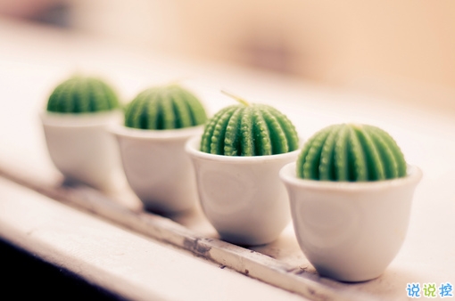 超暖心的朋友圈勵志說說帶圖片 致所有人的勵志說說值得收藏2