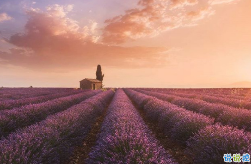 很扎心但很有道理的勵(lì)志說說帶圖片 激勵(lì)人心的很現(xiàn)實(shí)的一句話說說4