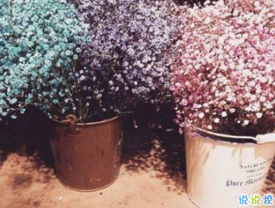 心已經(jīng)涼透了的說(shuō)說(shuō)帶圖片 不吵不鬧很悲傷的說(shuō)說(shuō)12