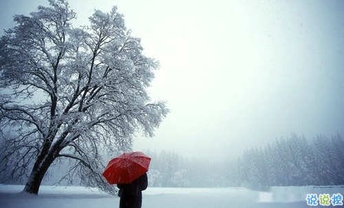 2019微信朋友圈個性說說配圖 手機有電錢包有錢比什么都好11