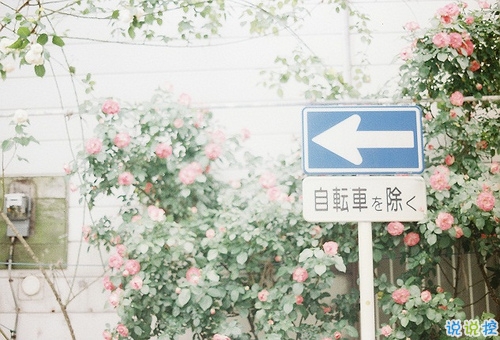 2018最新微信感恩節(jié)說說帶圖片大全 感恩節(jié)心情說說簡(jiǎn)單好聽的6