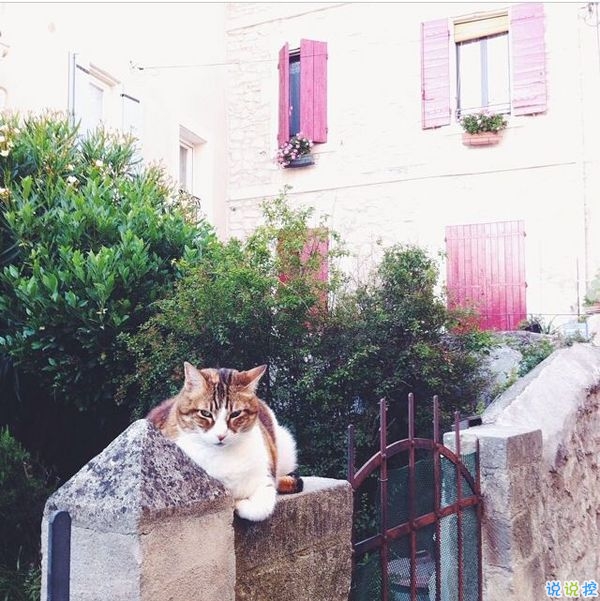 戀愛時(shí)的甜蜜小情話溫柔的句子帶圖片 我奔向你就像奔向未來16