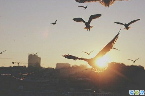 勵志積極的朋友圈說說帶圖片 送給那些迷茫的90后00后11