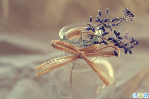 2018十一月你好說(shuō)說(shuō)大全唯美好聽?zhēng)D片 十一月你好早安說(shuō)說(shuō)大全9