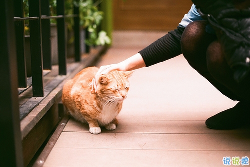 2019心里難受的說說帶圖片 一絲絲難過的朋友圈說說11