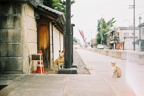 特別甜蜜的情話句子 很甜很撩的句子1
