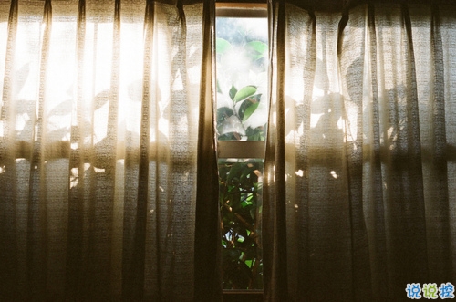 2019元宵節(jié)情話說說溫暖打動人 比較適合表白的句子帶圖片2