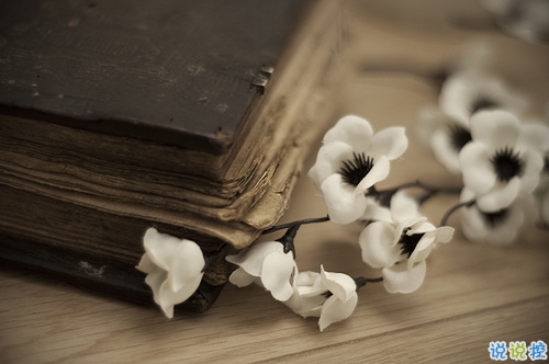 關(guān)于人生感悟很經(jīng)典的哲理說說帶圖片 從生活中明白的一些感悟說說4