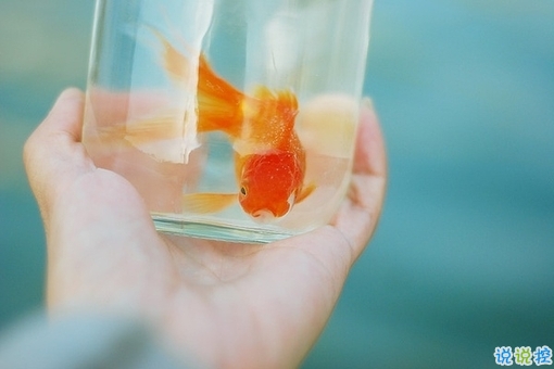 越看越想哭的專(zhuān)屬傷感說(shuō)說(shuō)精選帶圖片 傷了累了倦了不愛(ài)了的男生說(shuō)說(shuō)2