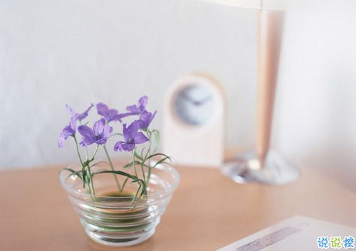 抖音好聽(tīng)個(gè)性說(shuō)說(shuō)帶圖片 能夠吸引人的一句話說(shuō)說(shuō)8