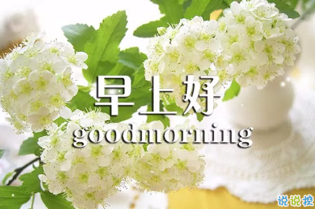 2018早上好正能量的句子和圖片 早上好勵(lì)志的句子配圖激勵(lì)人心的8
