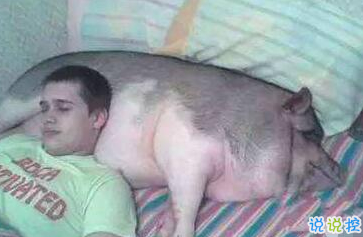 有意思的圖片加說說 適合發(fā)朋友圈的搞笑段子圖片6