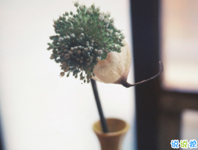 紀(jì)念日的甜言蜜語說說帶圖片 致自己結(jié)婚紀(jì)念日短句14