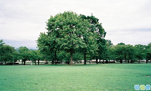 精辟犀利的愛情說(shuō)說(shuō)大全帶圖片 這些描寫愛情的句子太絕了11