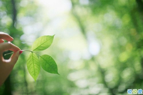 適合朋友圈發(fā)自拍的文案 女生發(fā)自拍的配文獨(dú)特有趣5