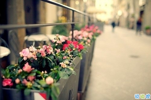 分手后泣不成聲的難過悲傷說說帶圖片 有的人陪你一半就走了說說5