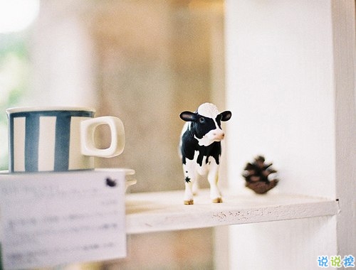 看透愛情的悲傷說說心痛分手帶圖片 開始很感動過程很精彩結(jié)局不想說12