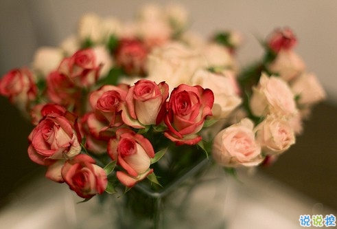 朋友圈個(gè)性說說2019最火爆的帶圖片 對(duì)我好的人請(qǐng)放心不會(huì)把你弄丟的3