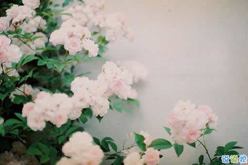 唯美英文勵志正能量感悟人生的句子和圖片6