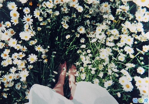 關于青春年華浪漫唯美的愛情句子 年少的笑漾著微光10