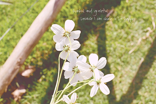 優(yōu)美說(shuō)說(shuō)唯美的句子配圖：海底月是天上月，只是鏡花水月9