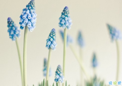 朋友圈個(gè)性說說2019最火爆的帶圖片 對(duì)我好的人請(qǐng)放心不會(huì)把你弄丟的14