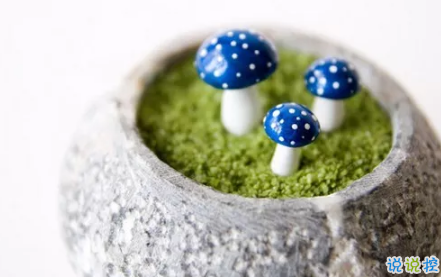 送給自己的話勵(lì)志簡(jiǎn)短2018最新版 送給自己的話經(jīng)典簡(jiǎn)短2