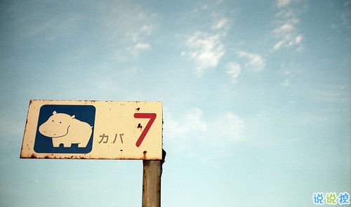 向女朋友求婚的話真實浪漫點 2019求婚句子大全簡單帶圖片14