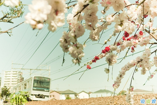 很特別的早安說說大全帶圖片 朋友圈早安心語獨(dú)一無二吸引人5