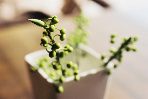 適合孤獨(dú)時(shí)候發(fā)的治愈心情說說帶圖片 孤獨(dú)沒有形狀卻是無數(shù)個(gè)你白日的模樣11